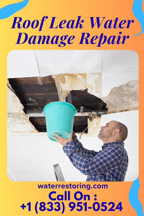 Roof Leak Water Damage Repair in Bertram, IA