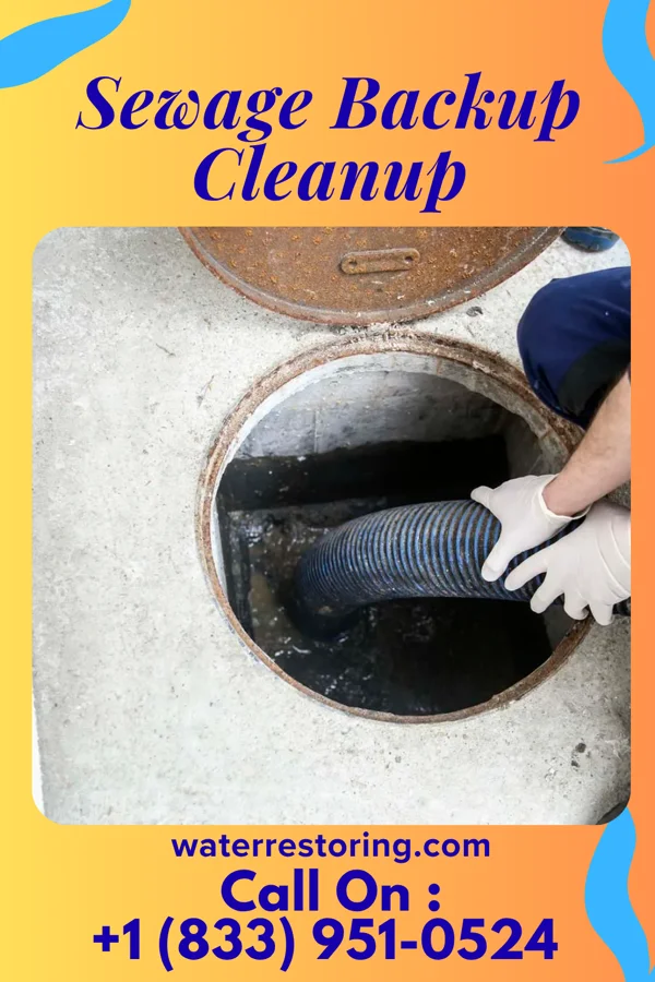 Sewage Backup Cleanup in Bertram, IA